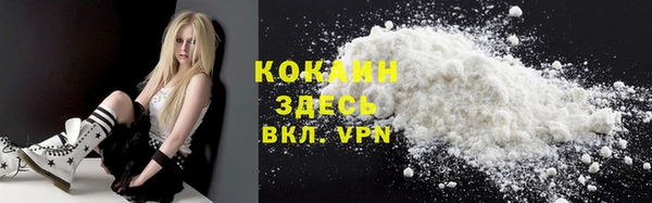 стаф Арсеньев