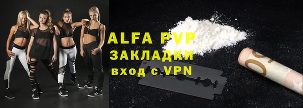 стаф Арсеньев