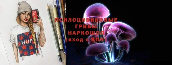 сатива Аркадак