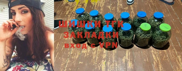 стаф Арсеньев