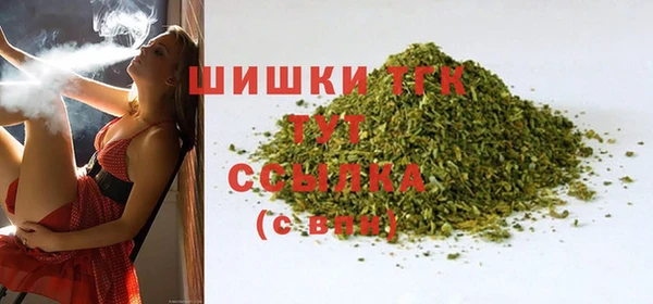 сатива Аркадак